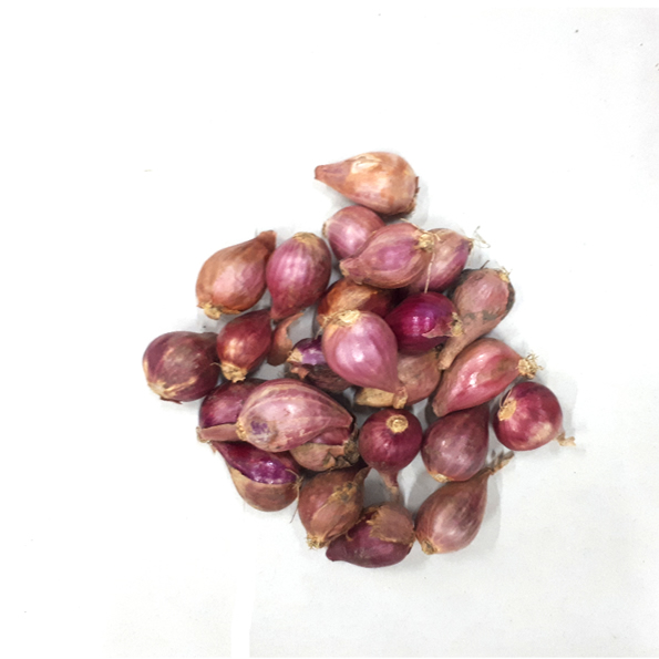 o BAWANG MERAH MEDIUM - 5 KG