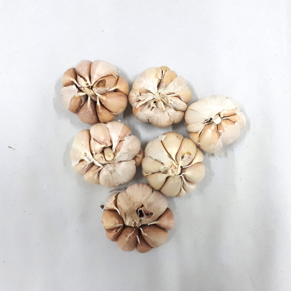 BAWANG PUTIH K2 +/- 20 KG PER KARUNG