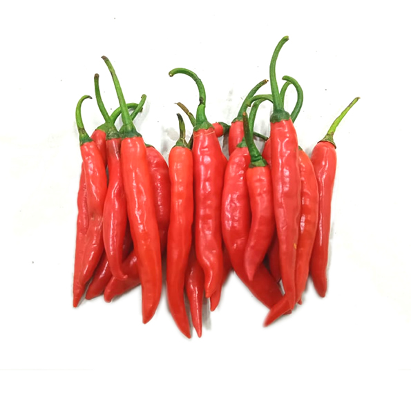 CABE MERAH BESAR K1 - 3 KG